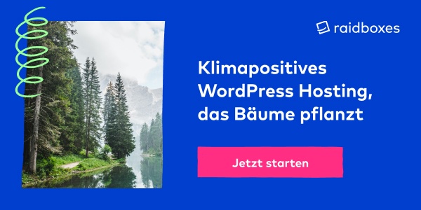 Performantes WordPress-Hosting: Warum wir auf Raidboxes setzen?